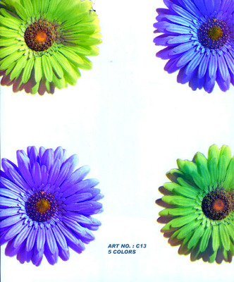 c13