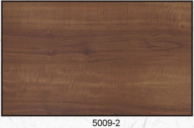 5009-2