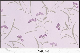 5407-1