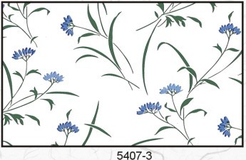 5407-3
