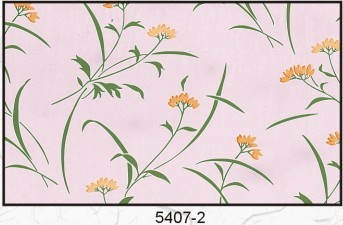 5407-2
