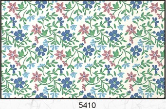 5410