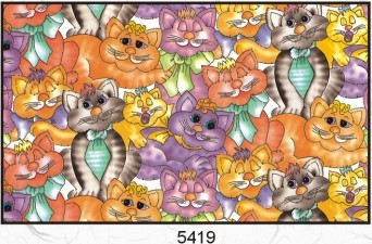 5419