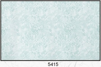 5415