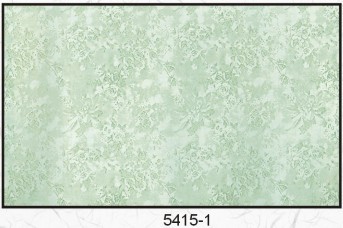5415-1