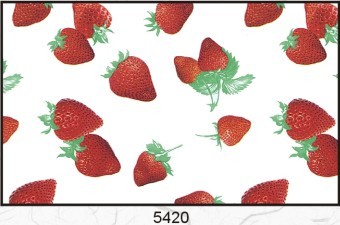 5420