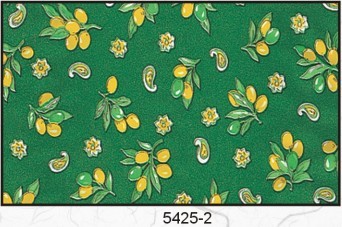 5425-2